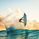 Illustration for article titled 23 Stunning Photos From Up-and-Coming Surf Photographers